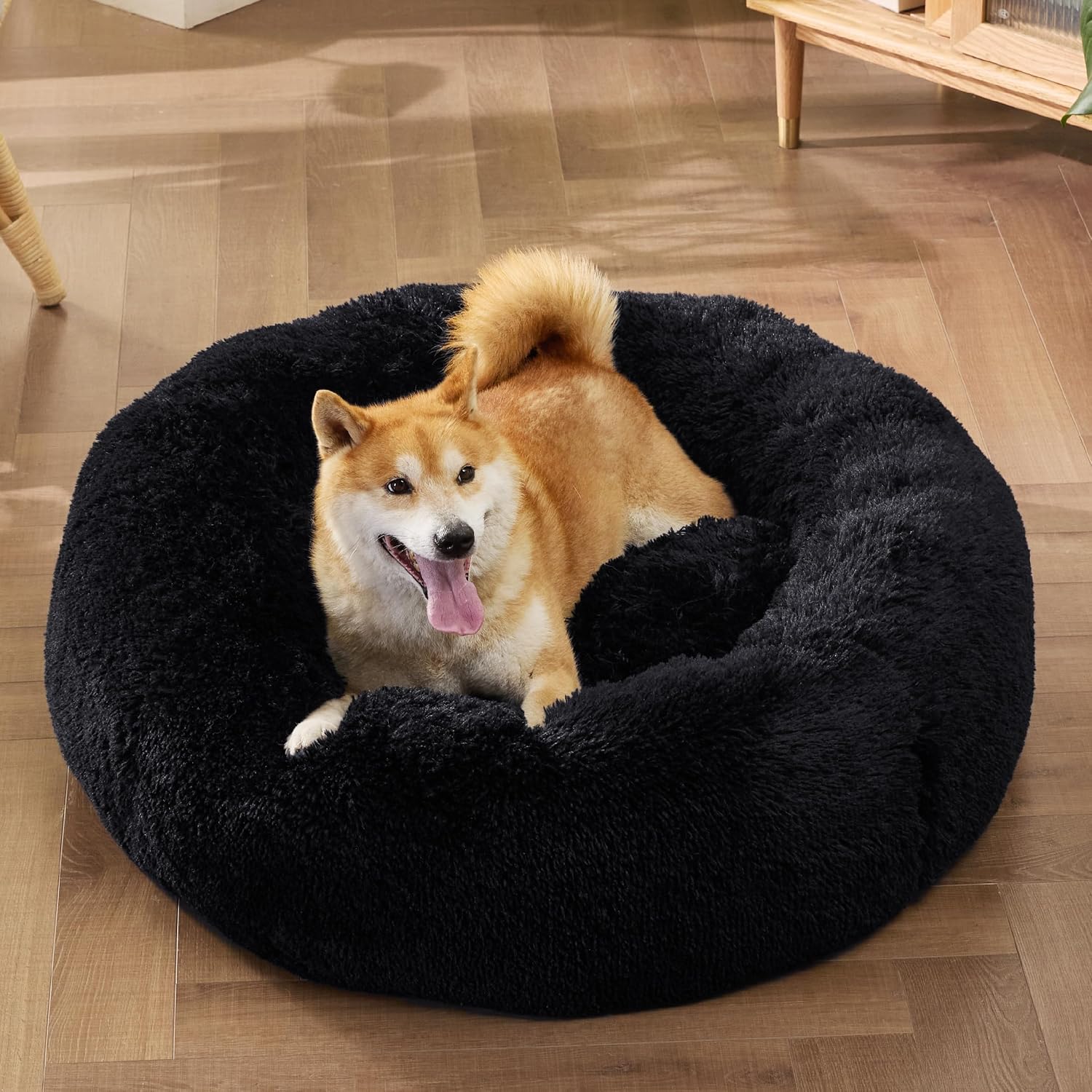 Black donut dog bed with medium dog