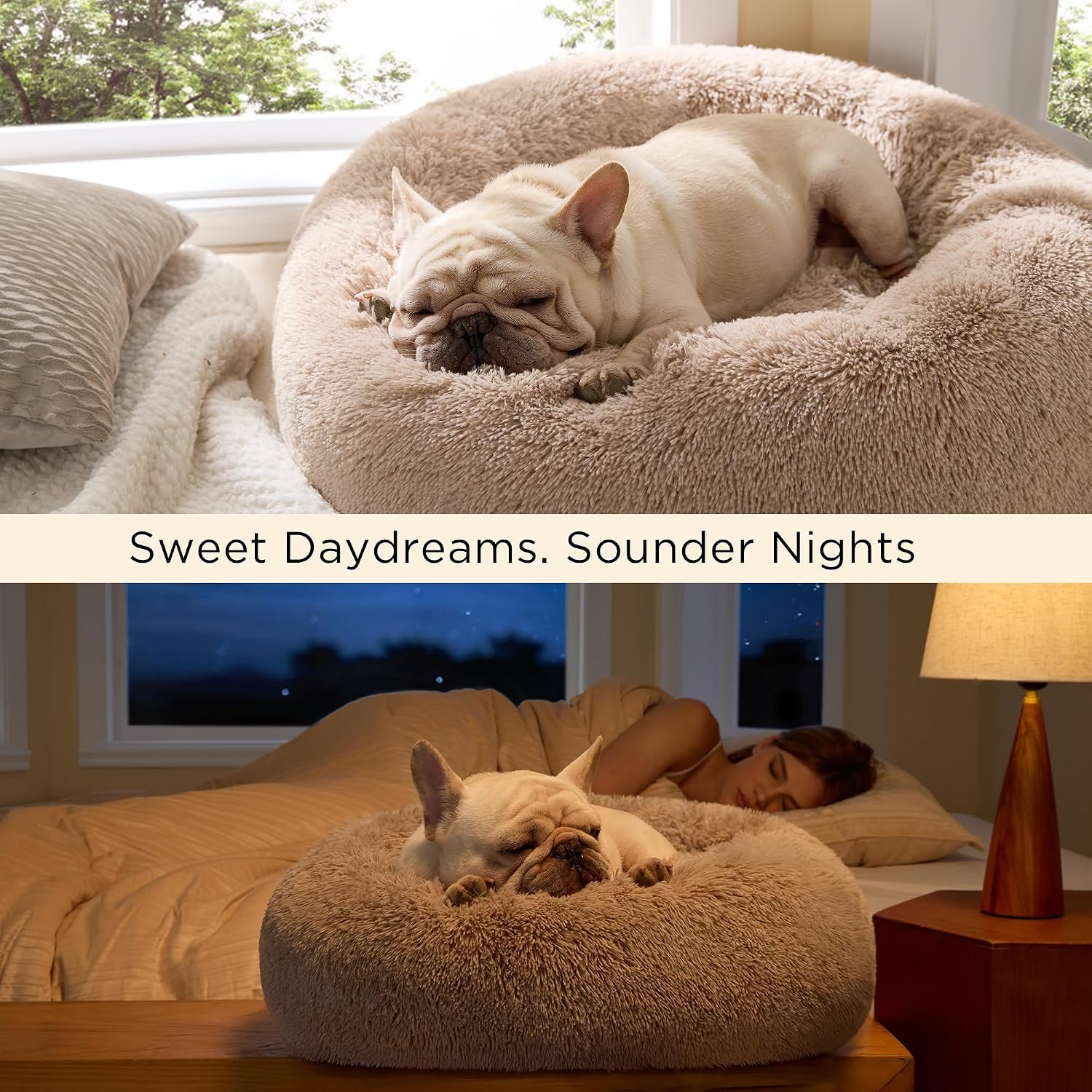Dog bed day and night sleep scene