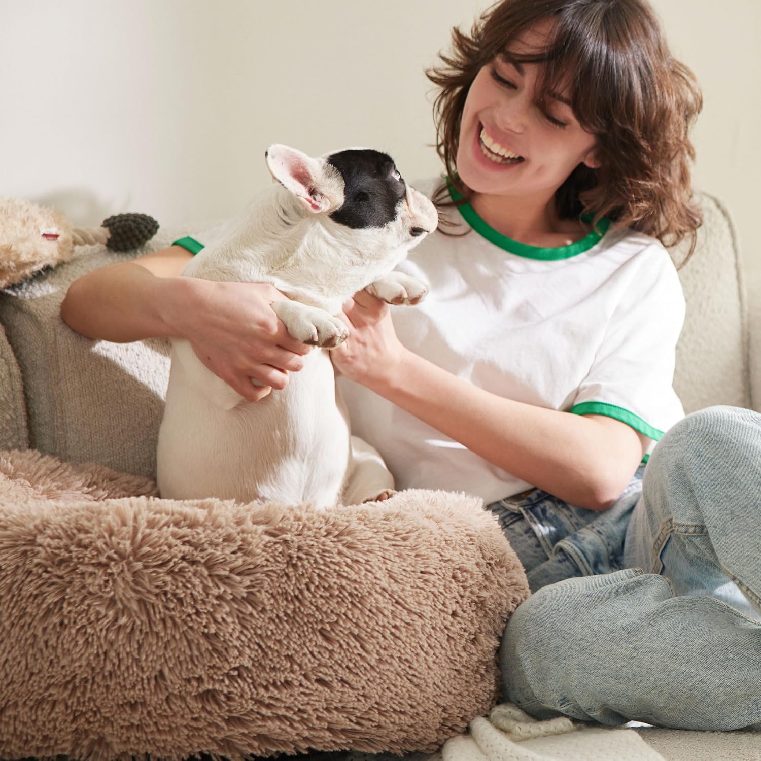 Owner with dog on plush pet bed